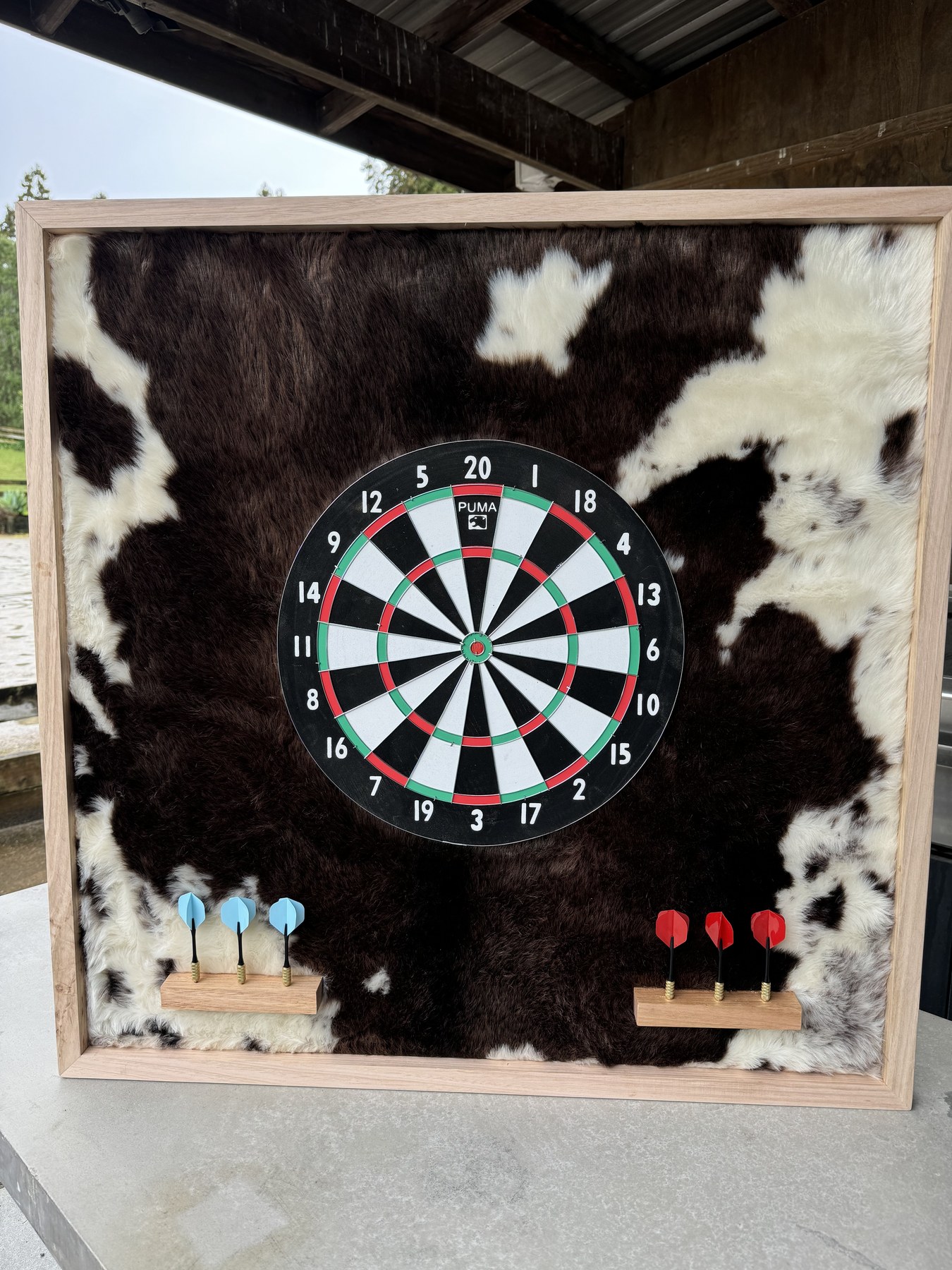 Dart Boards